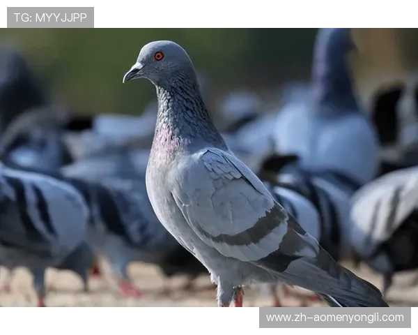 永利皇冠游戏网站提供专业客服全天在线服务，确保玩家在游戏过程中获得及时帮助