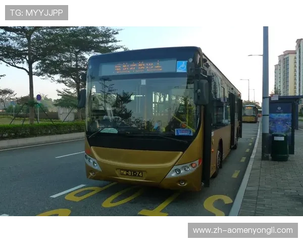 澳门贵宾厅线路检测常用工具与技巧分享确保线路稳定无误