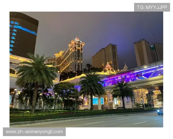 澳门赌博新址正式开放，最新赌场设施与娱乐项目全景解析